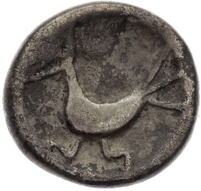 Drachm - back