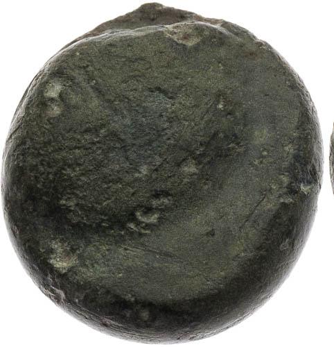Didrachma - avers