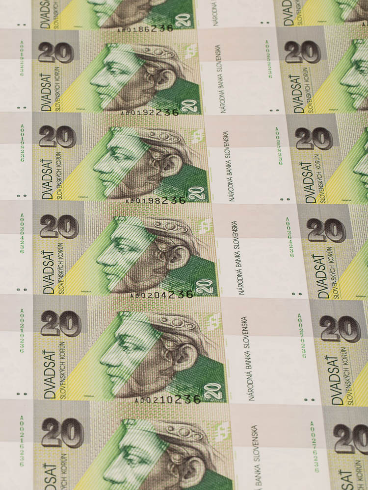 20 Koruna 1993 (60 pcs) - back