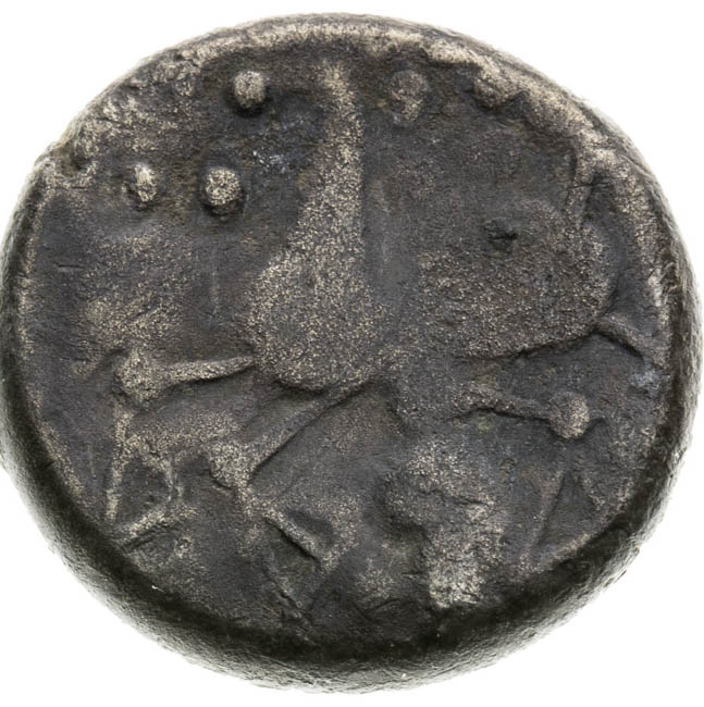 Didrachma - reverz
