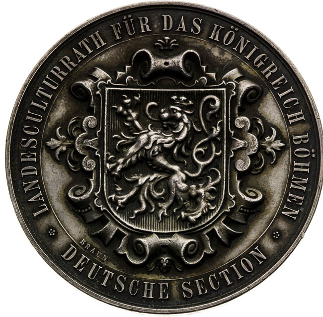 Silver Medal - front