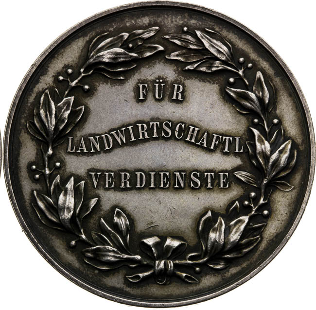 Silver Medal - back