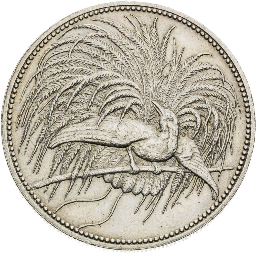 5 Mark 1894 - back