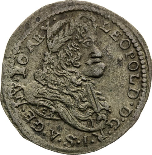 Poltura 1701 - averz
