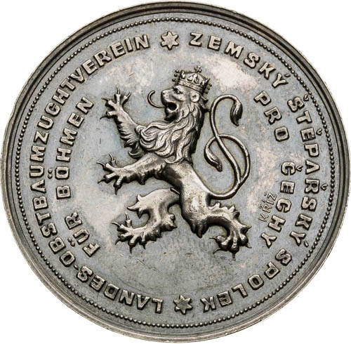 Silver Medal  - front