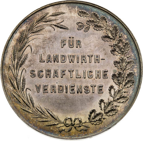 Silver Medal  - back