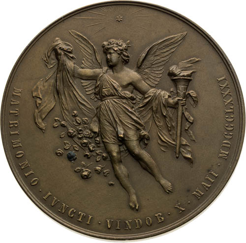 Bronze Medal 1881 - back