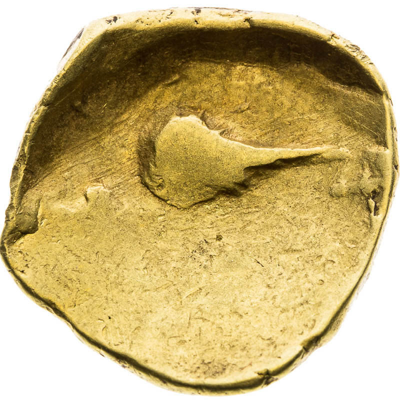 Stater  - back