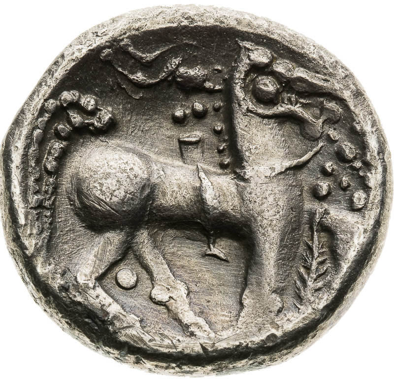 Tetradrachm  - back