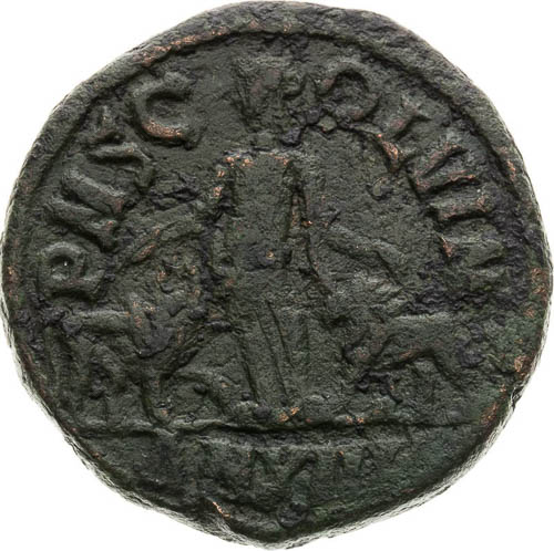 AE - back