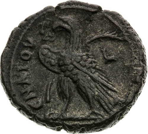 Tetradrachm  - back