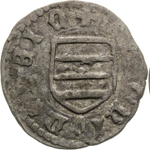 Denar (1446) - front