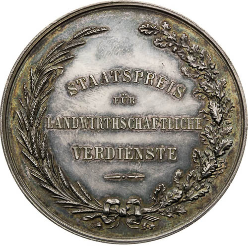 Silver Medal - back