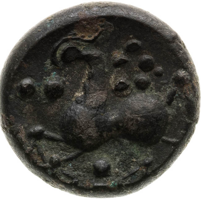 Didrachm  - back