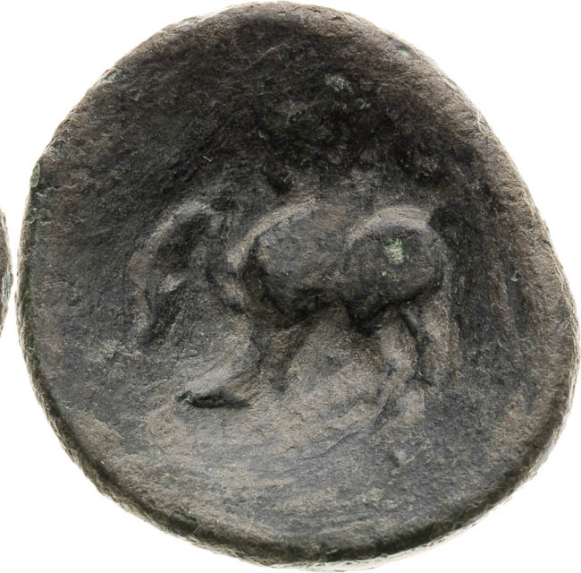 Tetradrachm  - back