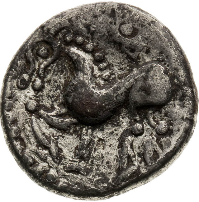 Drachm - back