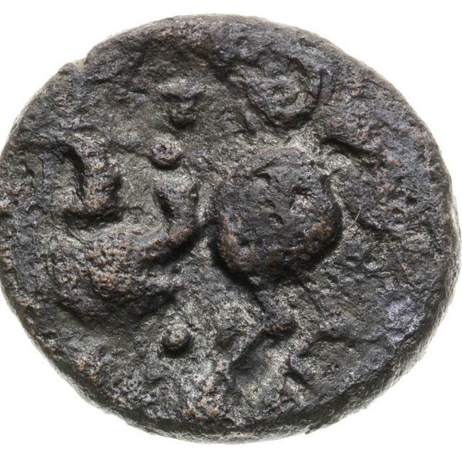 Drachm - back