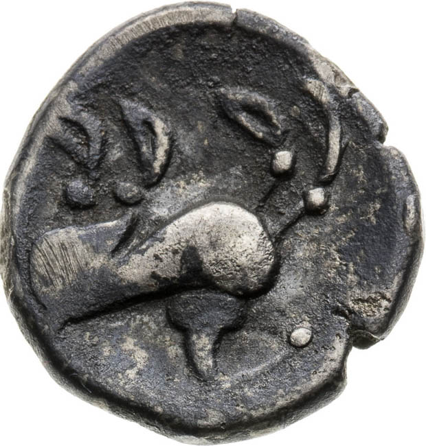 Drachm - back
