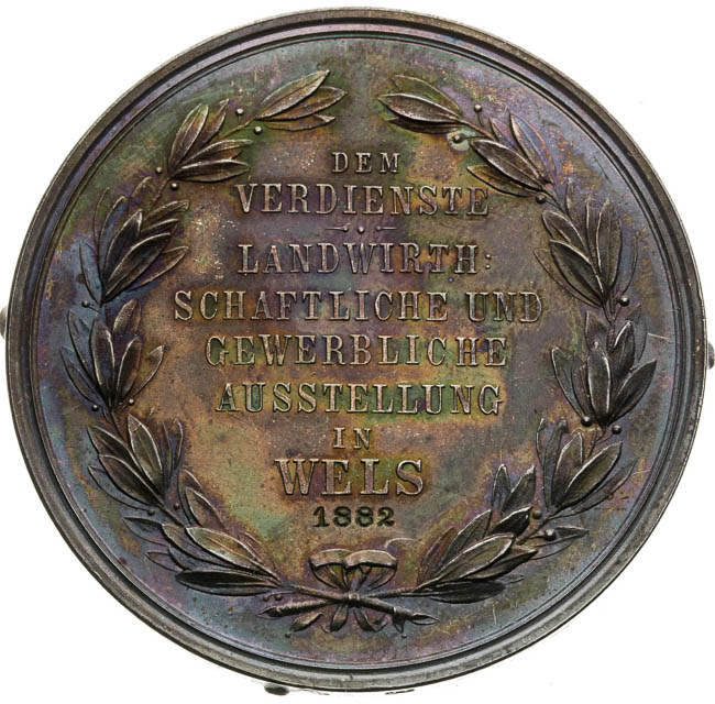 Medaile 1882 - jednostranný odražek (2 ks) - revers