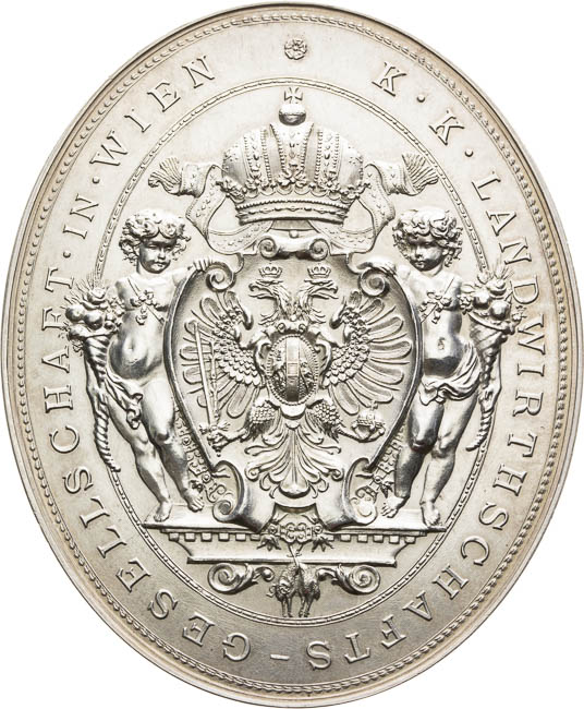 Stříbrná medaile 1890 - revers