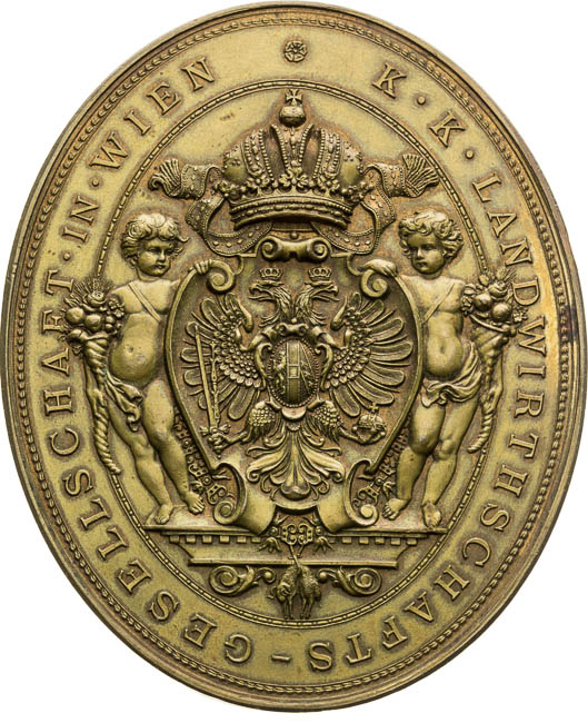 Medaile 1890 - revers