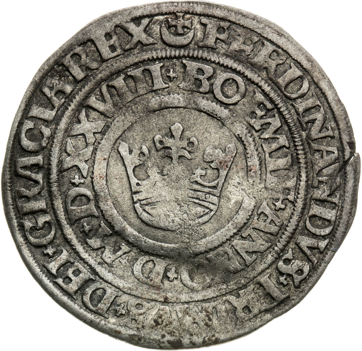 Nový groš 1528 - averz