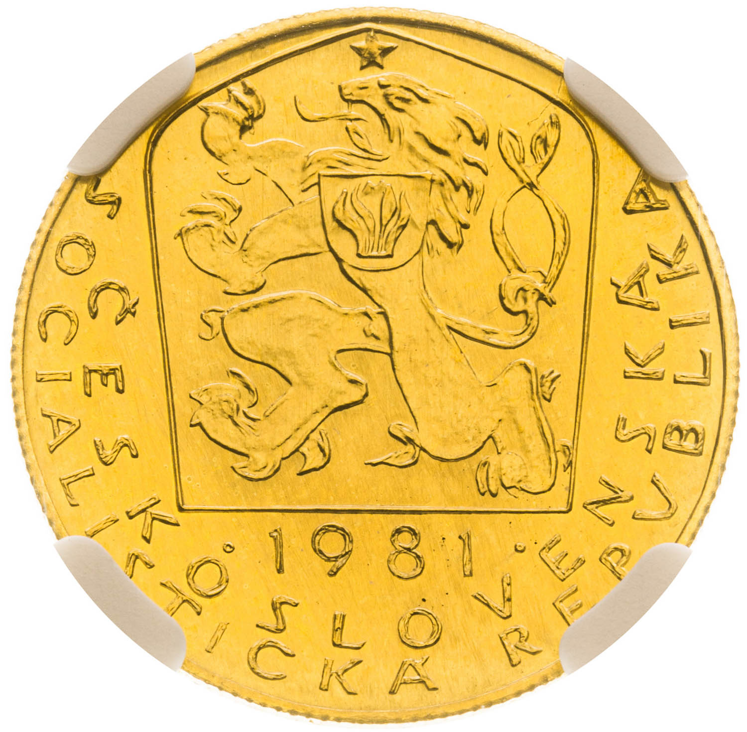 Ducat 1981 - back