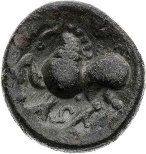 Drachm - back