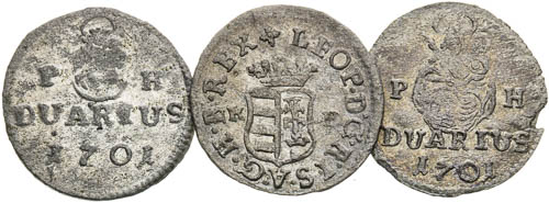 Duarius (3 pcs) - back