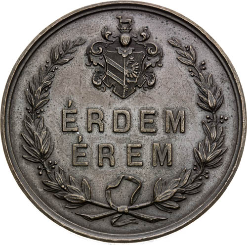 Medaile 1876 - revers
