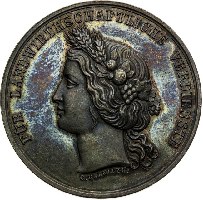 Silver medal 1871 - front