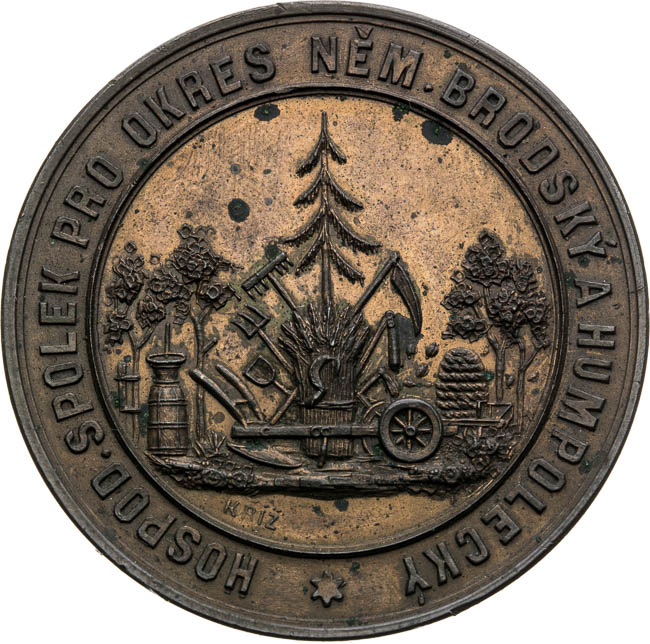 Medal 1878 - front