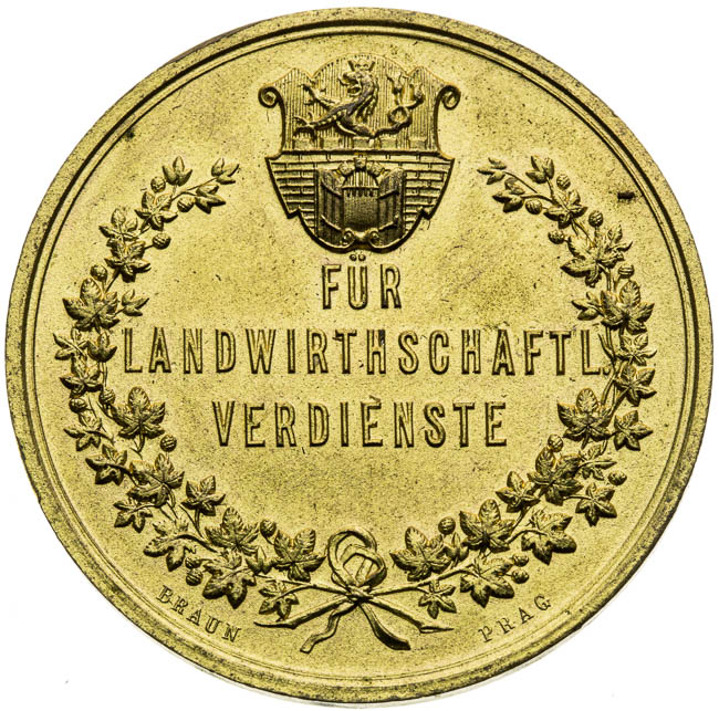 Medal  - back