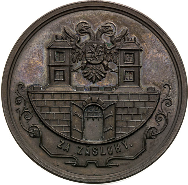 Medal 1881 - back