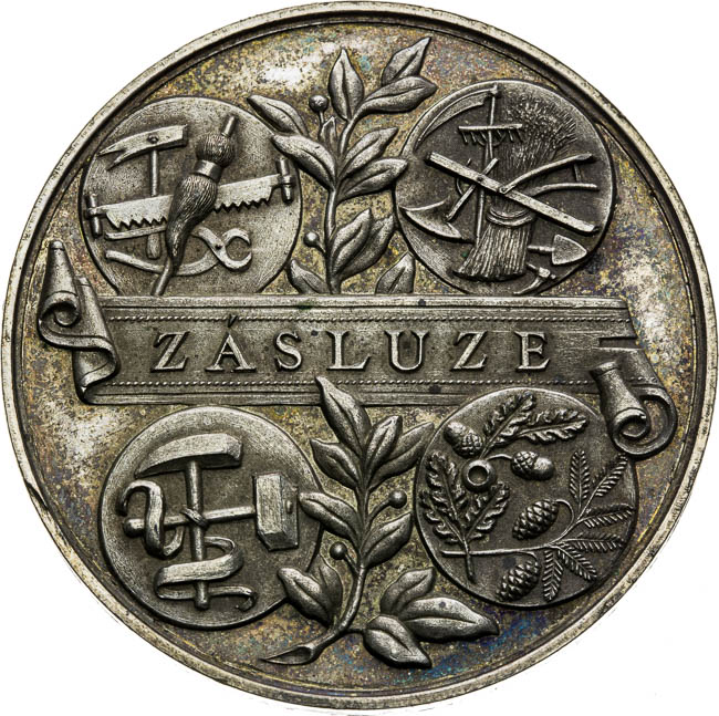 Medal (1888) - front