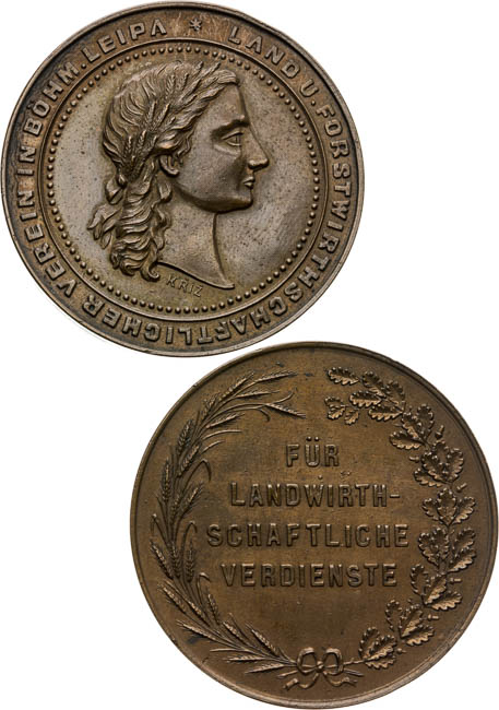 Medals (2 pcs) - front