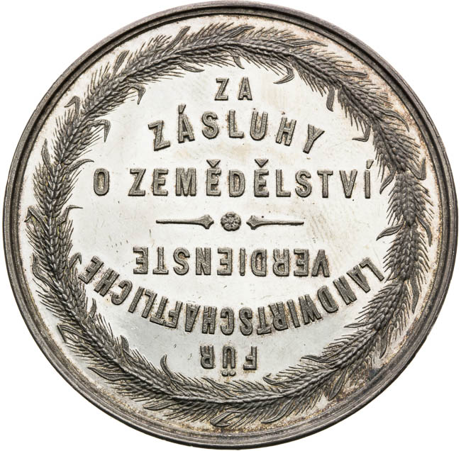 Silver medal  - back