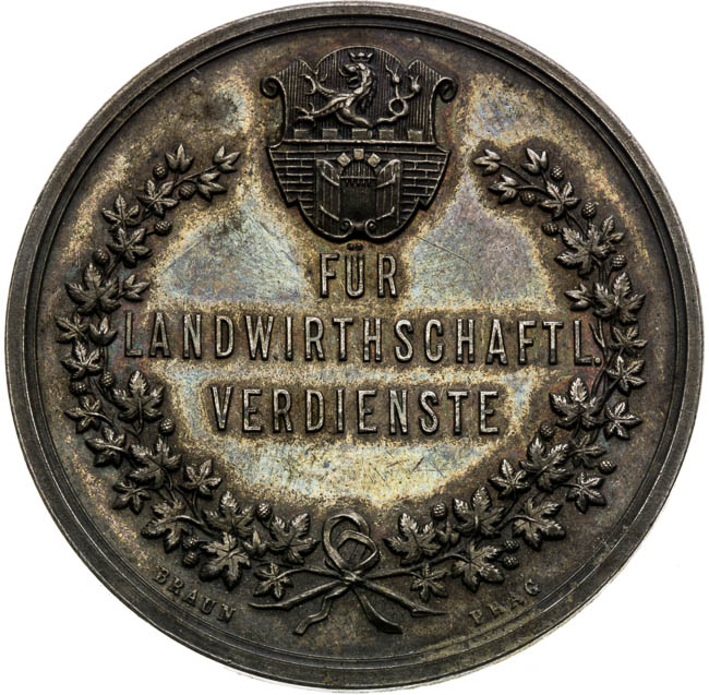 Silver medal  - back