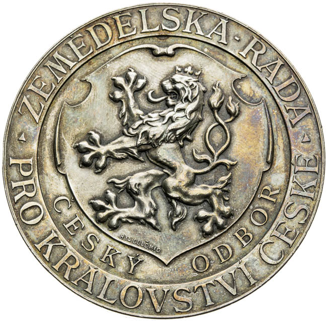 Silver medal 1894 - front