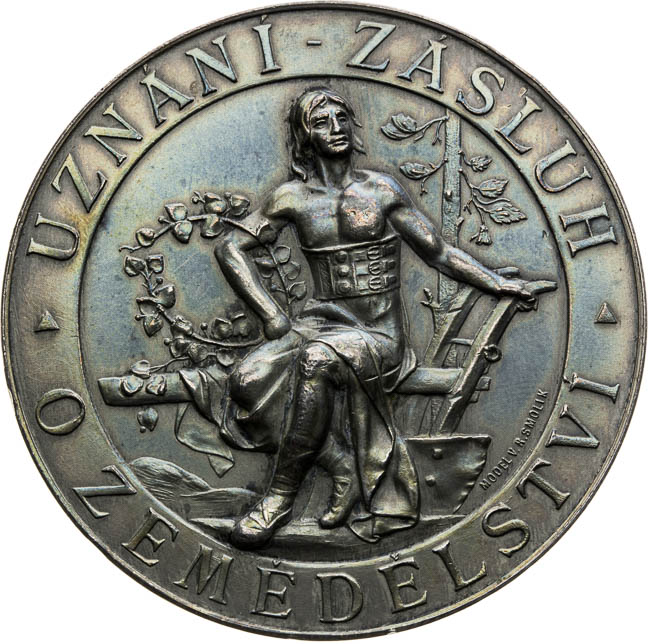 Silver medal 1894 - back
