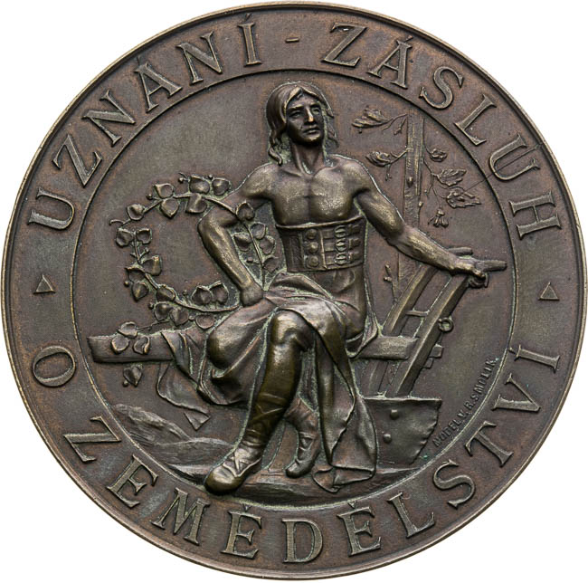 Medal 1894 - back