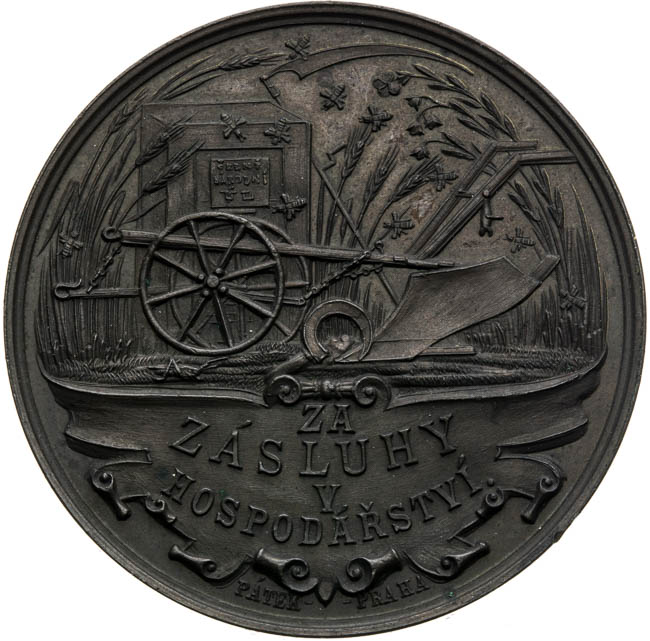 Medal 1894 - back
