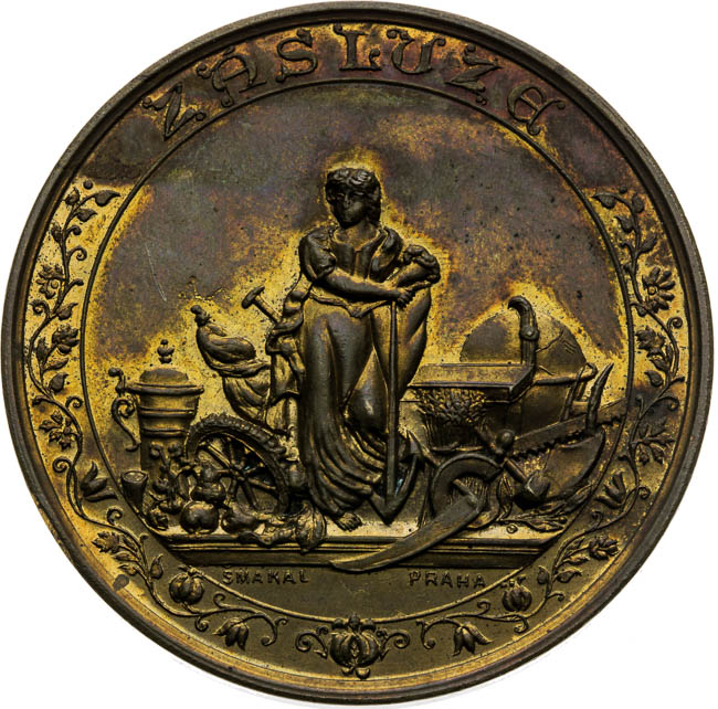Medaila 1895 - reverz