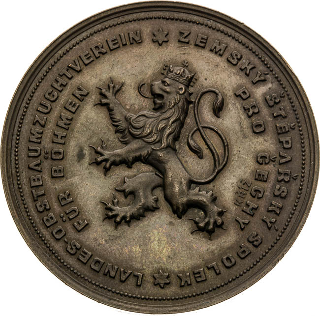 Medal  - front