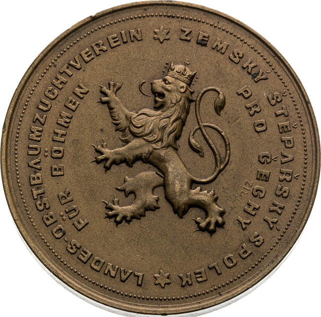 Medal  - front