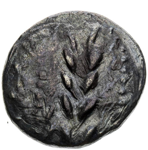 Drachma - avers