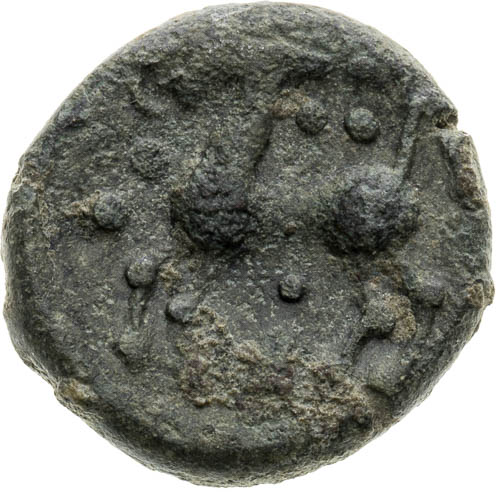 Didrachma - revers
