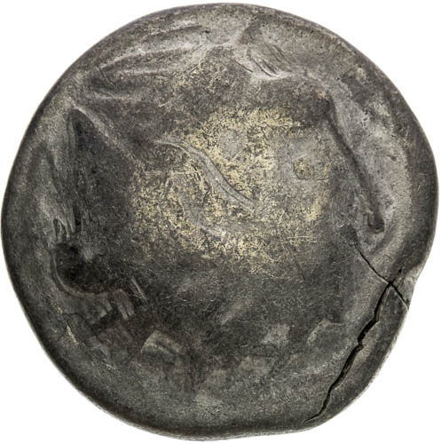 Tetradrachma - avers
