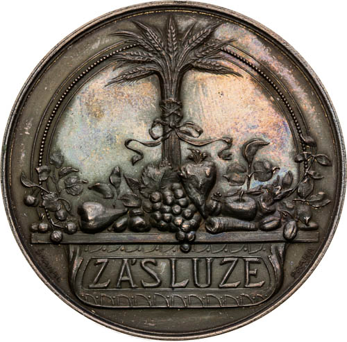 Medaile 1904 - revers