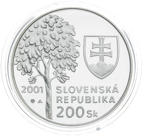 200 Sk 2001 - revers